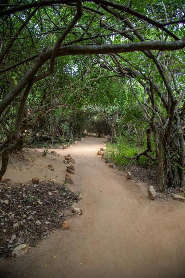 Yala Eco Bush Camp Hotel Ngoại thất bức ảnh