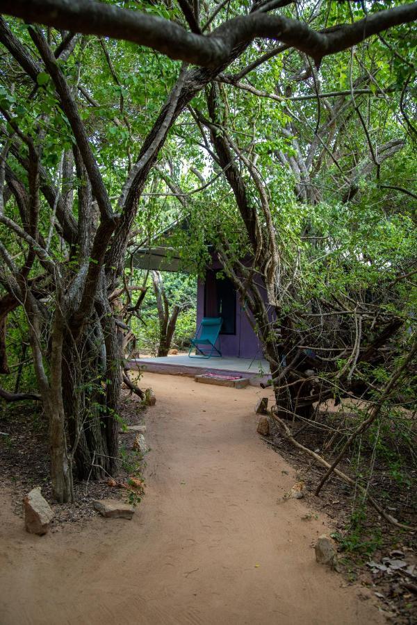 Yala Eco Bush Camp Hotel Ngoại thất bức ảnh
