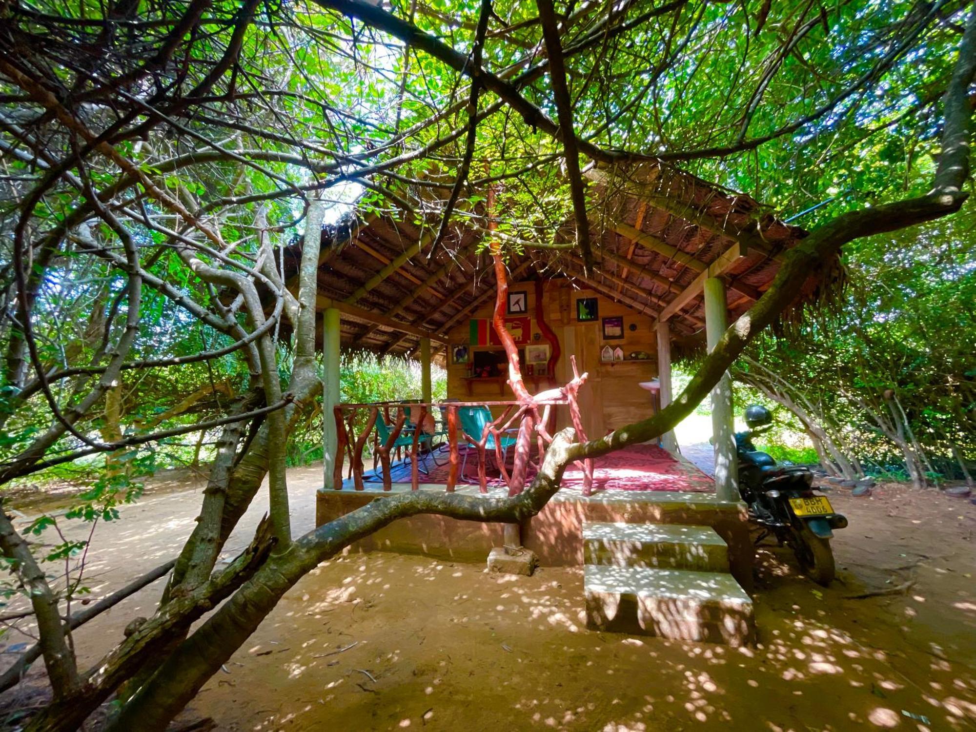 Yala Eco Bush Camp Hotel Ngoại thất bức ảnh