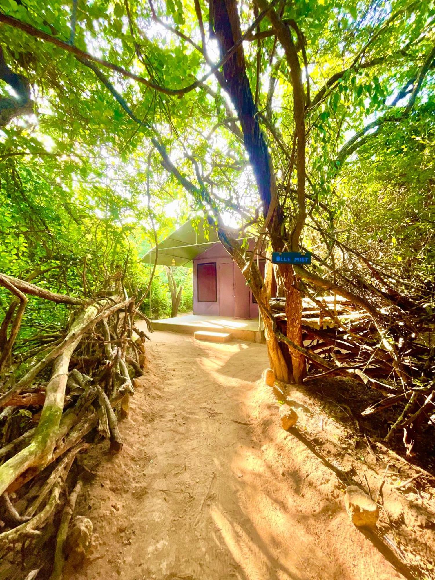 Yala Eco Bush Camp Hotel Ngoại thất bức ảnh
