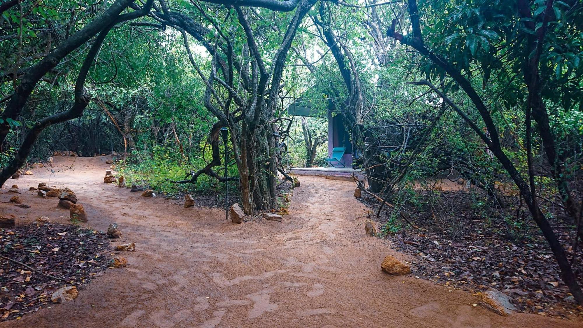 Yala Eco Bush Camp Hotel Ngoại thất bức ảnh
